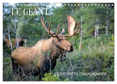 Picture of LE GÉANT DES FORÊTS CANADIENNES (Calendrier mural 2027 DIN A4 vertical), CALVENDO calendrier mensuel