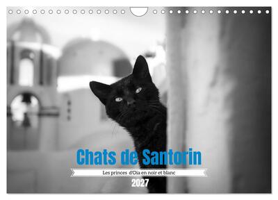 Image de Chats de Santorin - Les princes d'Oia en noir et blanc (Calendrier mural 2027 DIN A4 vertical), CALVENDO calendrier mensuel