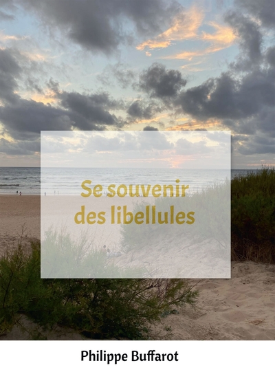 Picture of Se souvenir des libellules
