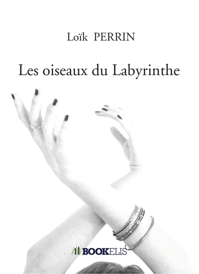 Picture of Les oiseaux du Labyrinthe