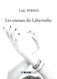 Picture of Les oiseaux du Labyrinthe