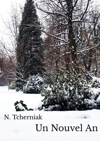 Image de Un Nouvel An