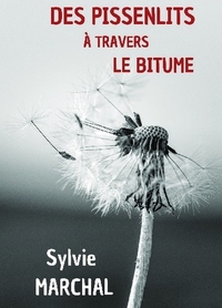 Picture of Des pissenlits à travers le bitume
