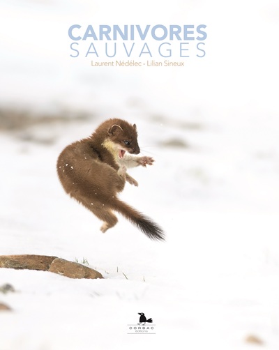 Picture of Carnivores Sauvages