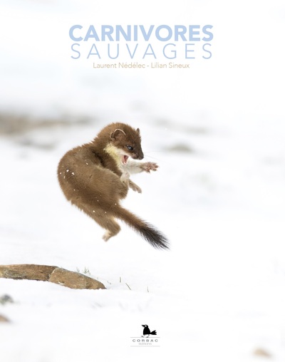 Picture of CARNIVORES SAUVAGES