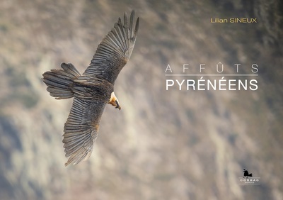 Image de AFFÛTS PYRÉNÉENS