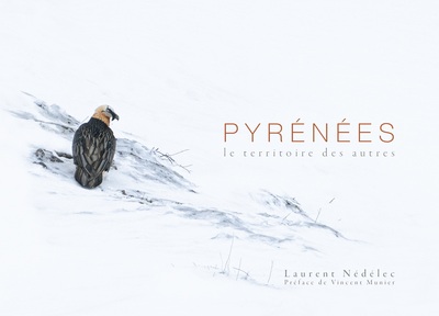 Image de PYRÉNÉES LE TERRITOIRE DES AUTRES