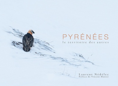 Picture of Pyrénées, le territoire des autres