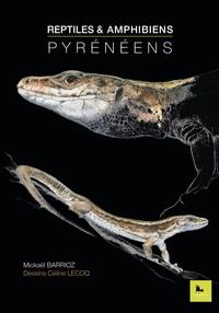 Image de REPTILES & AMPHIBIENS  PYRÉNÉENS