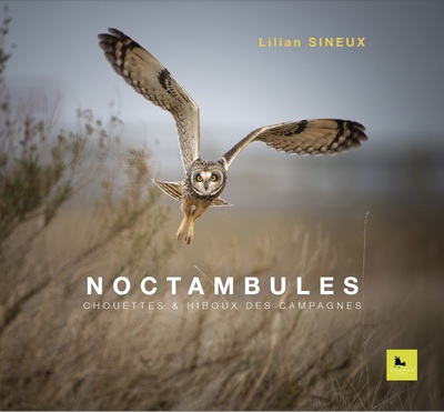 Image de NOCTAMBULES CHOUETTES & HIBOUX DES  CAMPAGNES