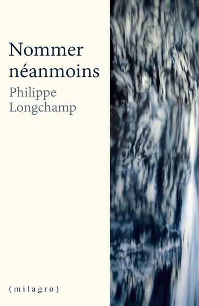 Picture of Nommer Néanmoins