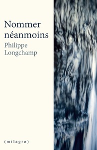 Picture of Nommer Néanmoins