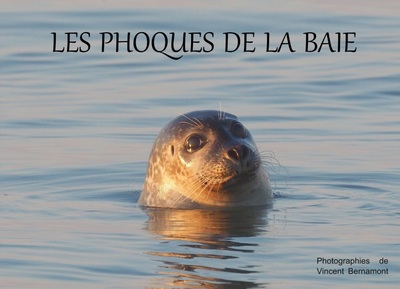 Picture of LES PHOQUES DE LA BAIE