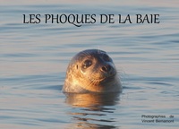Picture of LES PHOQUES DE LA BAIE