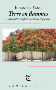 Image de Terre en flammes