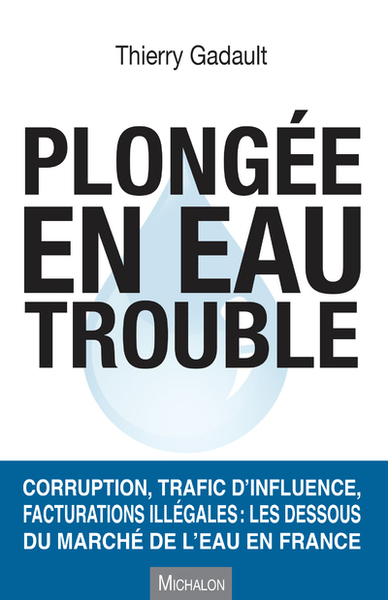 Image de Plongée en eau trouble. Corruption, trafic d'influence, facturations illégales : les dessous du marc