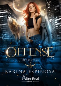 Picture of Offense