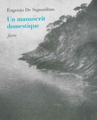 Picture of Un manuscrit domestique