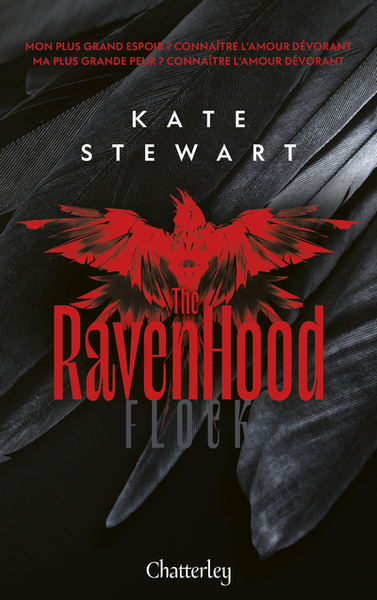 Image de Ravenhood - Tome 1 Flock