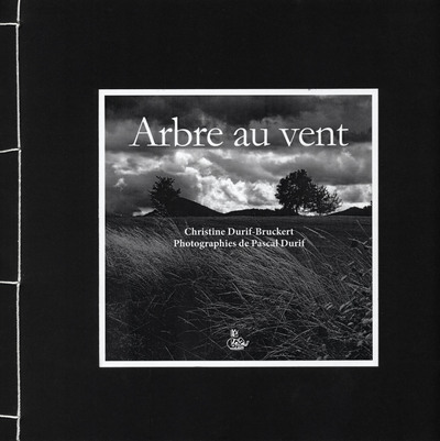 Picture of Arbre au vent