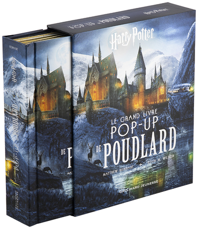 Image de Harry Potter - Le grand livre pop-up de Poudlard