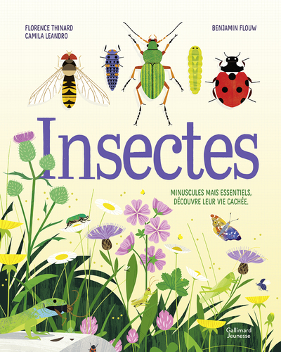 Image de Insectes