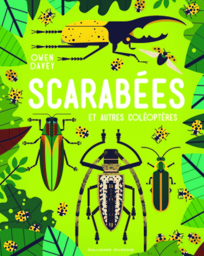 Image de Scarabées et autres coléoptères