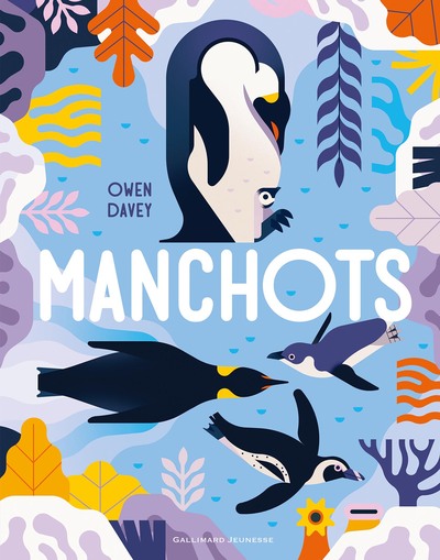 Image de Manchots