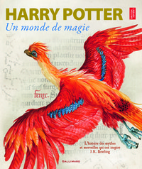 Image de Harry Potter, un monde de magie