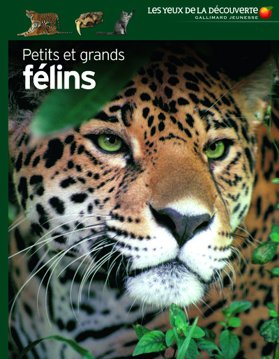 Image de Petits et grands félins