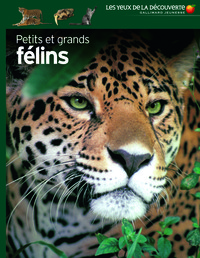 Image de Petits et grands félins
