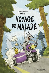 Picture of Voyage de malade