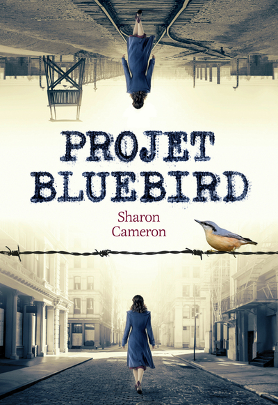 Picture of Projet Bluebird