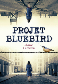 Picture of Projet Bluebird