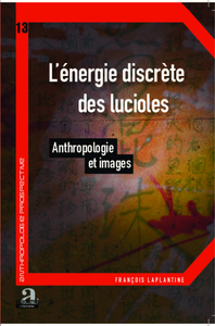 Picture of L'énergie discrète des lucioles