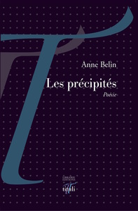 Picture of Les précipités