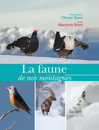 Image de La faune de nos montagnes
