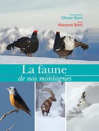 Image de La faune de nos montagnes