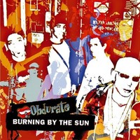 Picture of Burning By The Sun