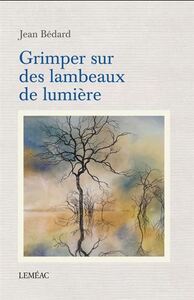 Picture of GRIMPER SUR DES LAMBEAUX DE LUMIERE