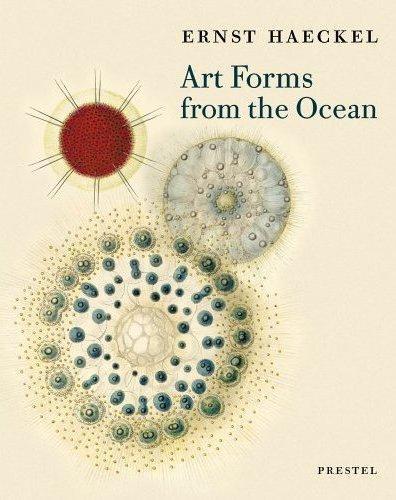 Picture of Ernst Haeckel Art Forms from the Ocean /anglais
