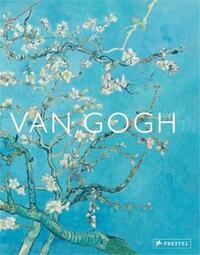 Picture of Van Gogh The Bigger Picture /anglais