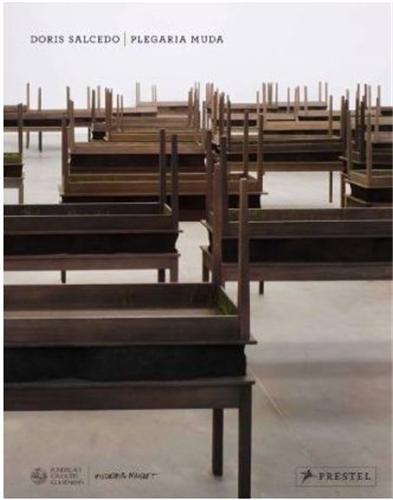Picture of Doris Salcedo Plegaria Muda /anglais