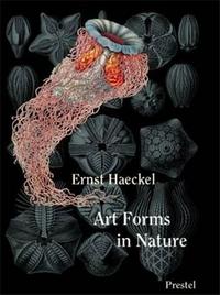 Picture of Ernst Haeckel Art Forms in Nature (Minis) /anglais
