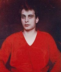 Picture of Rudolf Stingel /anglais