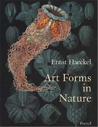 Picture of Ernst Haeckel Art Forms in Nature /anglais