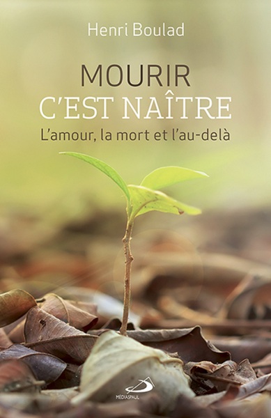 Picture of MOURIR C'EST NAITRE. L'AMOUR, LA MORT ET L'AU-DELÀ