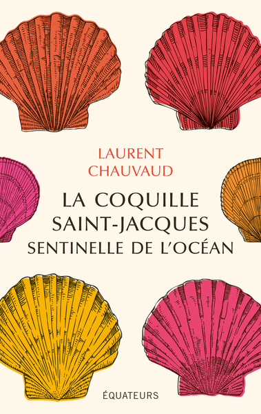 Picture of La coquille Saint-Jacques, sentinelle de l'océan