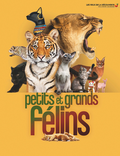 Picture of Petits et grands félins