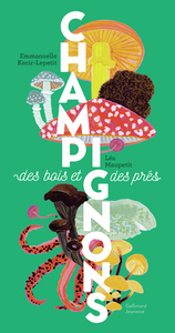 Image de Champignons